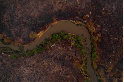 Artigo: O curso de uma tragédia no Pantanal