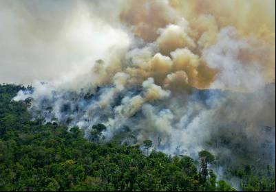 Destruição da Amazônia chegou a quadro irreversível mais rápido do que o previsto