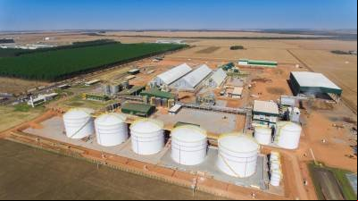 Bioinsumos e combustíveis do futuro fortalecem a transição energética Bioinsumos e combustíveis do futuro fortalecem a transição energética