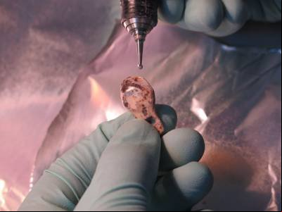 Dente de 130 mil anos ajuda a provar que os denisovanos viveram no sudeste asiático